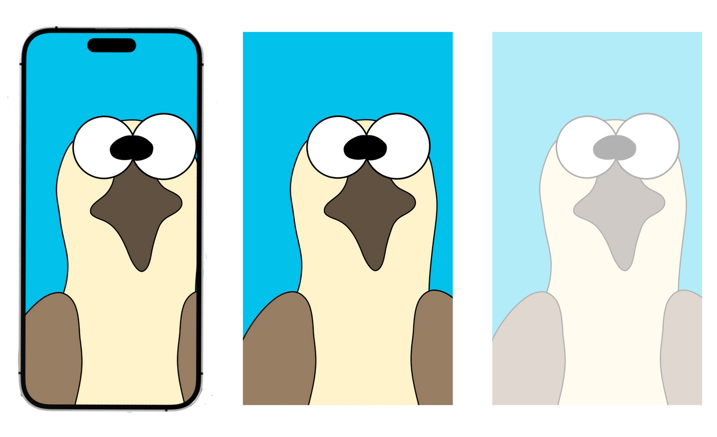 Digital Download - Paid