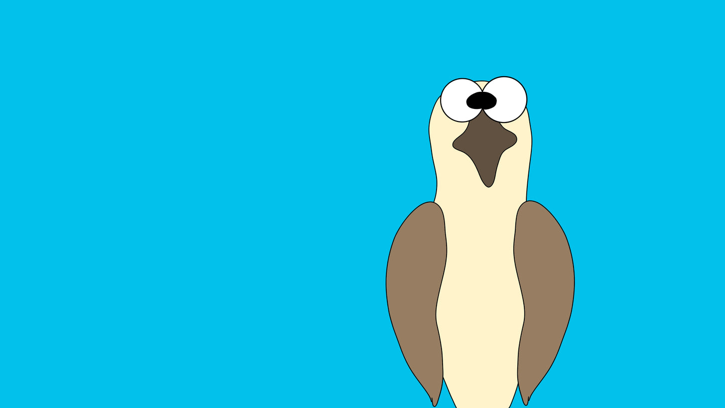 Wallpaper Bundle - Pipers Blank Stare