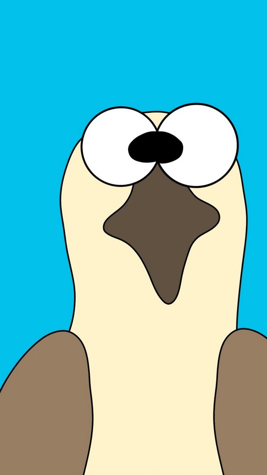 Wallpaper Bundle - Pipers Blank Stare