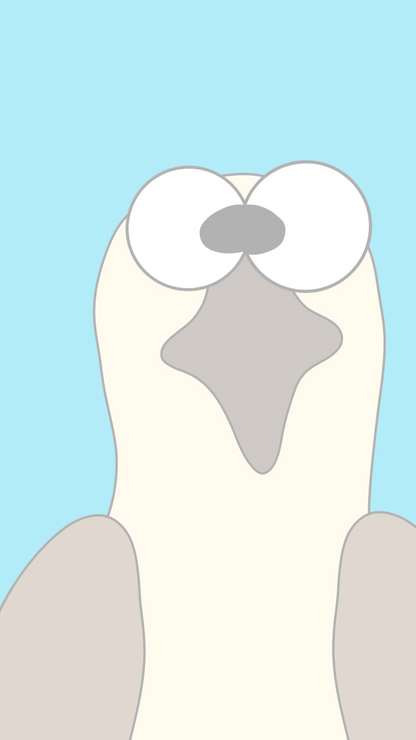 Wallpaper Bundle - Pipers Blank Stare